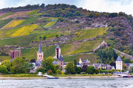 Foto de Castillos románticos a orillas del Rin. Las colinas son el hogar de los viñedos bien cuidados. Castillos del Rin. Viaje a la Edad Media Alemana. - Imagen libre de derechos