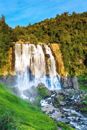 Photo for The magical beauty of New Zealand. North Island. The largest and widest waterfall in Marocopa. The setting sun illuminates the stormy and thundering jets of water and snow-white foam - Royalty Free Image