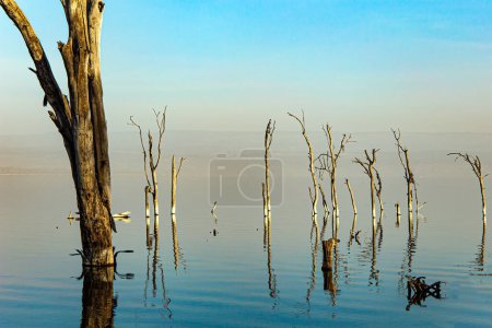 Foto de Parque Nacional del Lago Nakuru. Kenia Central en África Oriental. Viaje al exótico país de Kenia. East African Rift Valley. Amanecer - Imagen libre de derechos