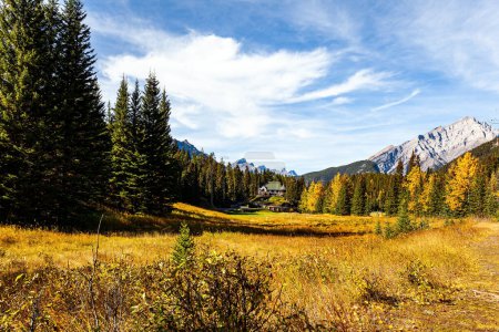 Téléchargez les photos : Les montagnes sont couvertes d'une forêt dense d'épinettes. Journée ensoleillée en automne été indien. Environs de la ville de Banff dans les Rocheuses. Canada. - en image libre de droit