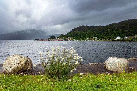 Foto de Gran lago junto a la carretera a Roldal. Día de verano frío y lluvioso. Pintoresco paisaje en el oeste de Noruega. Paisaje escénico en Noruega Occidental. - Imagen libre de derechos