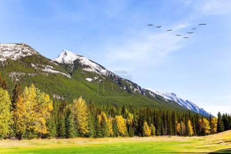 Foto de Alrededores de la pequeña ciudad de Banff en las Montañas Rocosas. Canadá. Las cimas de las montañas están cubiertas de nieve. bandada de aves migratorias vuela en el cielo - Imagen libre de derechos