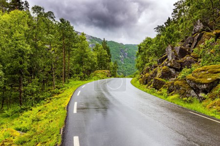 Foto de La pintoresca carretera pasa por un bosque de coníferas. Noruega Occidental. Día frío y lluvioso. Viaje de verano al norte de Europa. - Imagen libre de derechos