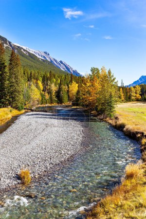 Téléchargez les photos : Ruisseau peu profond avec un fond caillouteux. Terrains de golf au pied des monts Rundle et Cascade. Environs de la petite ville de Banff dans les Rocheuses du Canada. - en image libre de droit