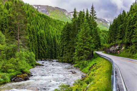 Foto de La pintoresca carretera pasa por un bosque verde. Viaje de verano al norte de Europa. Día frío y lluvioso. Noruega Occidental. Camino a Roldal - Imagen libre de derechos
