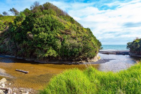 Foto de El pintoresco arroyo Waipingau refleja colinas, arbustos y cañas altas en el agua. La costa del Pacífico del norte de Taranaki. Viaje al Fin de la Tierra. La naturaleza de Nueva Zelanda. - Imagen libre de derechos