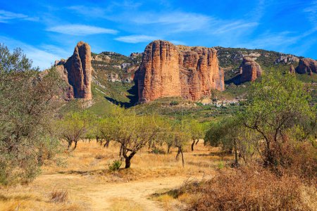 Foto de The Mallets of Riglos is a conglomerate of rock formations. Young olive grove. Beautiful rocks - part of the foothills of the Pyrenees. Spain. Aragon. Sunny afternoon. - Imagen libre de derechos