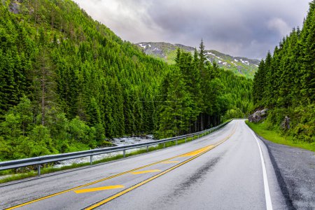 Foto de The picturesque highway passes through a coniferous forest. Summer trip to the north of Europe. Cold and rainy day. Western Norway. - Imagen libre de derechos