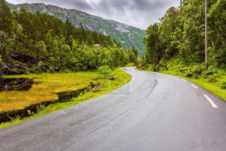Foto de The picturesque highway passes through green forest. Summer trip to the north of Europe. Cold and rainy day. Western Norway. - Imagen libre de derechos