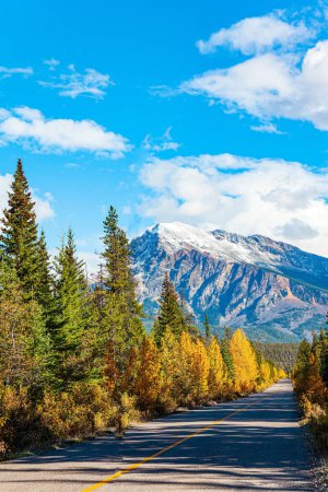 Photo for The Icefields Parkway north. The famous highway in the Rocky Mountains connects Jasper and Banff parks. Orange, yellow and red tree foliage - Royalty Free Image