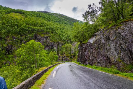 Foto de The picturesque highway passes through a coniferous forest. Cold and rainy day. Summer trip to the north of Europe. Western Norway. - Imagen libre de derechos