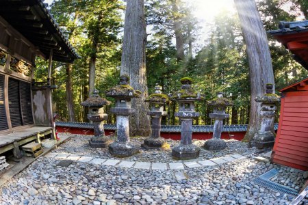 Photo for Majestic pine forest and ancient temple. Sunset. Nikko Tosho-gu is a Shinto shrine in Nikko. Built in 1617. The rows of stone sculptures - lanterns. Japan. - Royalty Free Image