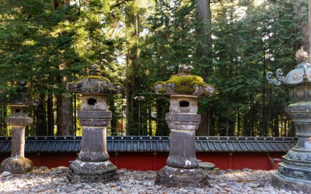 Photo for Majestic pine forest and ancient temple. Japan. Nikko Tosho-gu is a Shinto shrine in Nikko. Built in 1617. The even rows of stone sculptures - lanterns. - Royalty Free Image