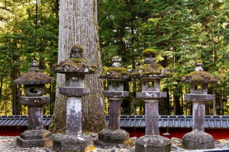 Photo for The rows of stone lanterns - sculptures. Majestic pine forest and ancient temple. Japan. Nikko Tosho-gu is  Shinto shrine in Nikko. Built in 1617. Sunset. - Royalty Free Image