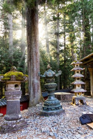 Photo for Sunset. Nikko Tosho-gu is a Shinto shrine in Nikko. Built in 1617. Majestic pine forest and ancient temple. The even rows of stone sculptures - lanterns. Japan. - Royalty Free Image