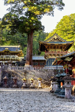 Photo for Japan. The temple and shrine of Nikko Tosho-gu is dedicated to the shogun Tokugawa Ieyasu. The stone lanterns - sculptures. Sunset. Building complex built in 1617. - Royalty Free Image