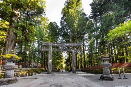 Photo for Majestic pine forest and torii gate to ancient temple. Japan. Nikko Tosho-gu is a Shinto shrine in Nikko. Built in 1617. National Treasure of Japan. - Royalty Free Image