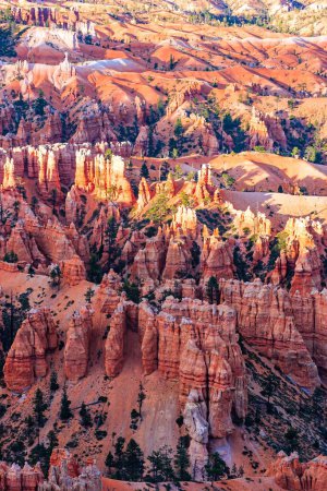 Photo for Picturesque giant hoodoos wall. Bryce Canyon, USA. Hoodoos that look like spiers pointing towards the sky. Natural amphitheater created by erosion. - Royalty Free Image