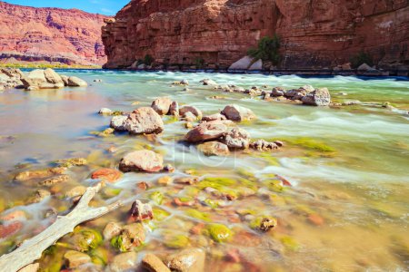 Photo for Stormy stream of water on stone rifts.  Lovely warm sunny day. Lees Ferry in the USA - the famous ferry crossing the Colorado River and the Grand Canyon in Arizona. - Royalty Free Image