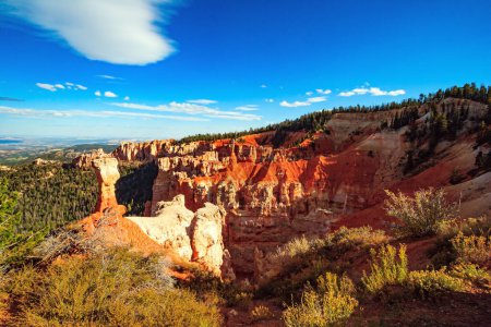 Photo for The most famous hoodoo is Thor's Hammer. Giant natural amphitheater created by erosion. Incredible landscape illuminated by the sunset. Bryce Canyon in the USA. - Royalty Free Image
