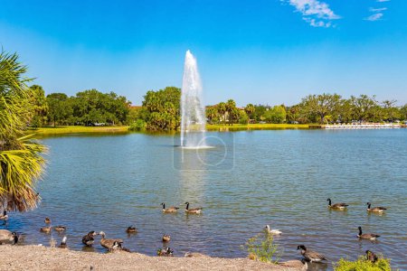 Flock of colorful geese grazes on the shore of the lake. New Orleans. The City Park with wonderful quiet lake and water birds. Picturesque fountain splashes in the lake.