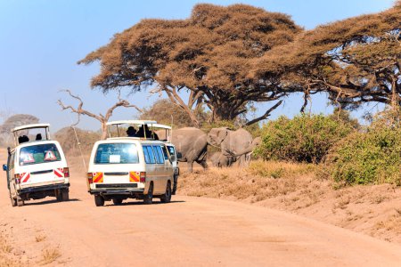 Téléchargez les photos : Voitures avec des touristes prenant des photos d'animaux. Le célèbre parc africain Amboseli. De magnifiques animaux exotiques africains vivent ici dans leur habitat naturel. Savane à l'herbe sèche. - en image libre de droit
