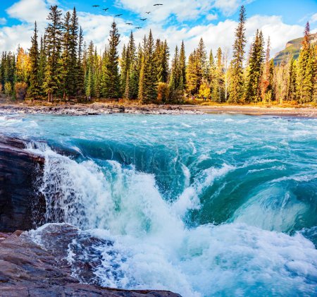 Téléchargez les photos : Athabasca Falls est la cascade la plus puissante de l'Alberta. Jasper Park. Rocheuses canadiennes. - en image libre de droit