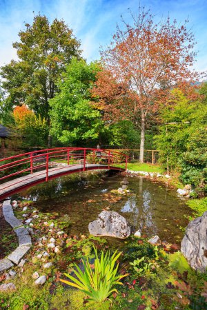 Puente de madera sobre un pintoresco estanque. Maravilloso hotel acogedor decorado con flores. Viajar a Austria. Los Alpes austríacos. Precioso jardín japonés. 