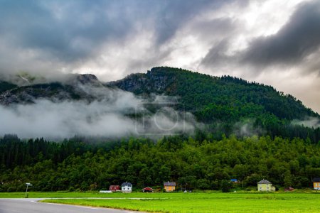 Téléchargez les photos : Herbe verte luxuriante dans le creux. Jostedalsbreen Park. Été froid en Norvège. Vallée entourée de hautes montagnes boisées. De lourds nuages recouvraient le ciel. - en image libre de droit