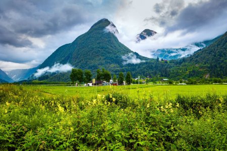 Téléchargez les photos : Jostedalsbreen Park. Herbe verte fleurie dans le creux. Été froid en Norvège. Vallée entourée de hautes montagnes boisées. De lourds nuages recouvraient le ciel. - en image libre de droit