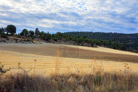 Téléchargez les photos : Les champs après la récolte. Le ciel est couvert de nuages légers. Le voyage en Espagne. - en image libre de droit