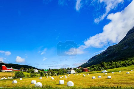 Téléchargez les photos : Dans les champs se trouvent des gerbes d'herbe préparées pour l'hiver. Montagnes pittoresques dans le centre de la Norvège. Cascades verser des sommets dans le lac. - en image libre de droit