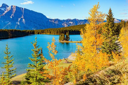 The cold emerald green water of the lake Two Jack reflect the surrounding mountains. Autumn yellow-orange trees set off the blue of the water. Rocky Mountains in Canada. 