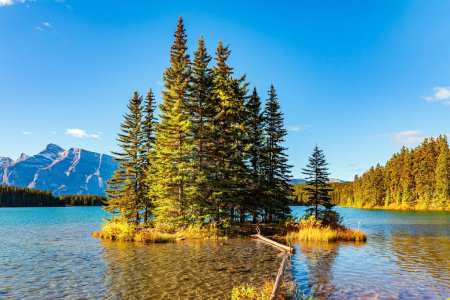 Rocky Mountains in Canada. The little island overgrown with evergreen spruce trees. The cold water of the Two Jack Lake reflect the surrounding mountains.