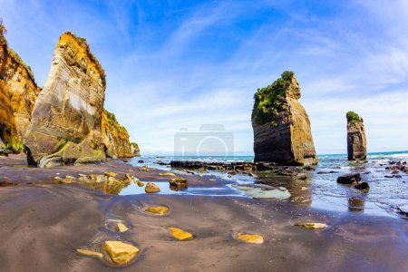 Coastal cliffs. New Zealand. North Island. Low tide exposed the coastal strip of the ocean. The Tongaporutu beach on the Pacific coast.