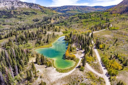 Magnifique petit lac de forme étrange et de couleur vert vif parmi les épinettes et les pins à feuilles persistantes. La photo a été prise à partir d'une vue aérienne à l'aide d'un drone. États-Unis