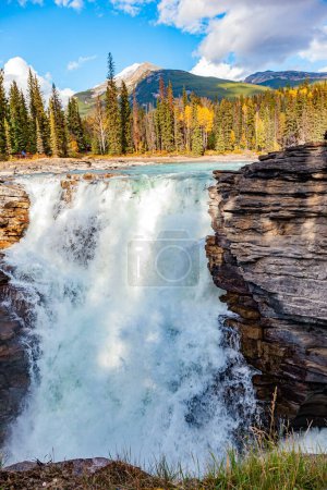 Athabasca Falls est la cascade la plus puissante de l'Alberta. Forêt pittoresque et montagnes illuminées par le coucher du soleil. Rocheuses canadiennes. Parc Jasper.