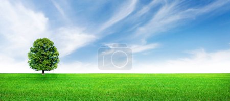 Foto de Campo de hierba verde, árbol solitario y azul cielo soleado paisaje de verano fondo - Imagen libre de derechos
