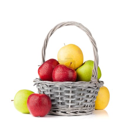 Foto de Coloridos frutos maduros de manzana en cesta. Aislado sobre fondo blanco - Imagen libre de derechos