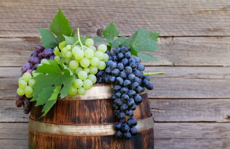 Foto de Varias uvas de colores en barril de vino en el jardín soleado al aire libre en frente de la pared de madera - Imagen libre de derechos