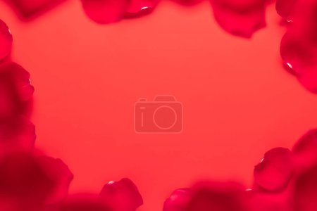 Téléchargez les photos : Modèle de carte de voeux Saint-Valentin avec pétales de rose sur fond rouge. Pose plate avec de l'espace pour vos salutations d'amour - en image libre de droit