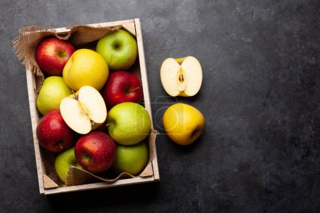 Téléchargez les photos : Fruits de pomme mûrs colorés en boîte sur table en pierre. Vue du dessus plat avec espace de copie - en image libre de droit