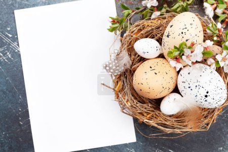 Photo for Easter eggs in nest. Chicken and quail eggs. Spring greeting card with copy space. Top view flat lay - Royalty Free Image
