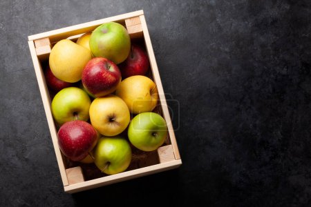 Foto de Coloridos frutos maduros de manzana en caja sobre una mesa de piedra. Vista superior plano con espacio de copia - Imagen libre de derechos