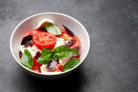 Téléchargez les photos : Salade caprese aux tomates fraîches, basilic de jardin et fromage mozzarella. Avec espace de copie - en image libre de droit