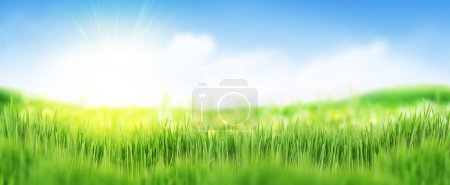 Foto de Campo de hierba verde paisaje de verano fondo. Borroso bokeh amplio telón de fondo - Imagen libre de derechos