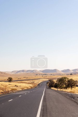 Photo for Asphalt road and country landscape of United States - Royalty Free Image