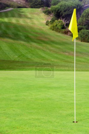 Téléchargez les photos : Terrain de golf avec pelouse verte et drapeau jaune - en image libre de droit