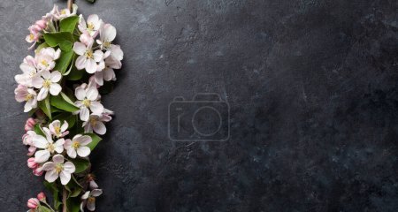 Foto de Rama del manzano en la mesa de piedra. Vista superior plano con espacio de copia, plantilla para su tarjeta de primavera - Imagen libre de derechos