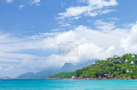 Photo for Tropical beach with palm trees and turquoise sea - Royalty Free Image